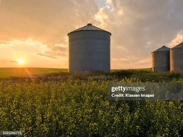 grain silos - silo fotografías e imágenes de stock