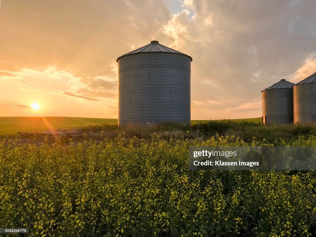 Grain silos