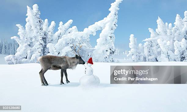 a reindeer and a snowman in a winter wonderland - christmas norway stock pictures, royalty-free photos & images