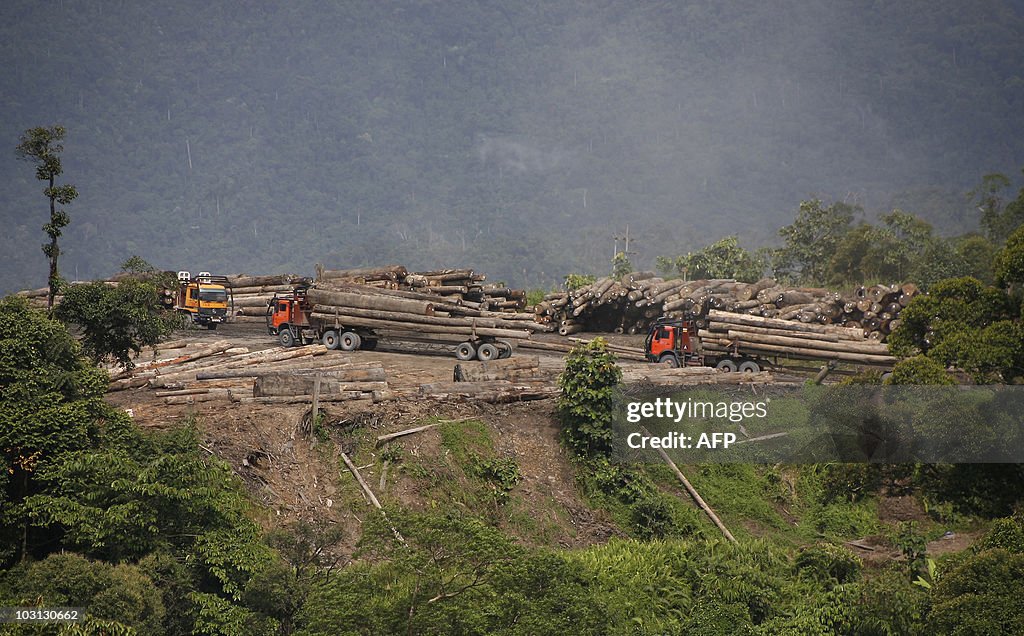 Trucks carry away timber in the upper Ba