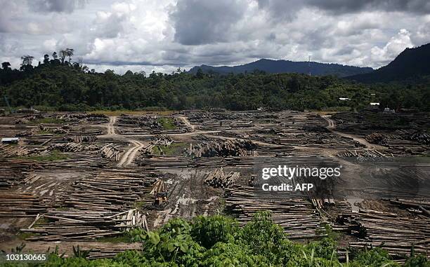 View of a tember depot in the upper Baram region of Malaysia's eastern Sarawak state on July 20, 2010. According to Malaysia's commodities ministry...