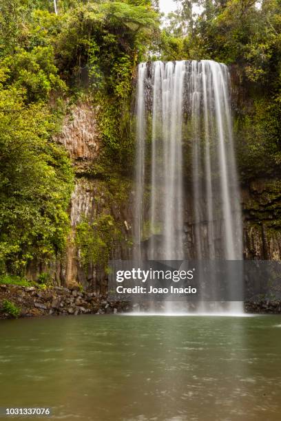 millaa millaa falls, atherton tableland, queensland, australia - queensland rainforest stock pictures, royalty-free photos & images