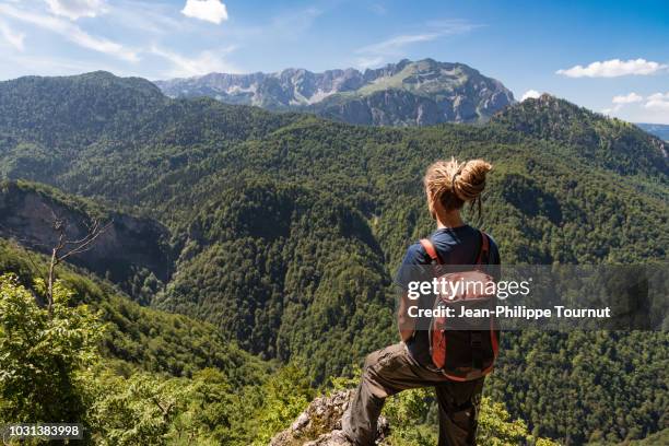 traveler with dreadlocks hiking in sutjeska national park and looking at skakavac waterfall and perućica primary forest,bosnia and herzegovina, europe - bosque primario fotografías e imágenes de stock