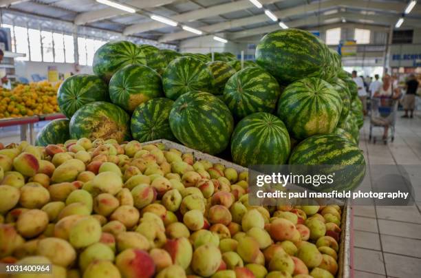Watermelon In Store 498 Picking Watermelons Stock Photos, High-Res Pictures, and Images ...