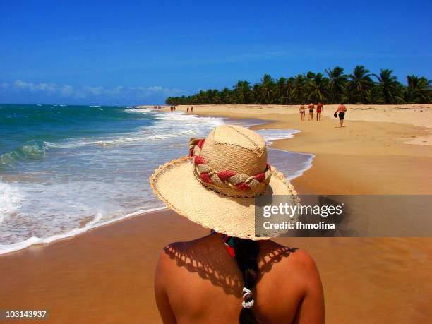 beautiful beach in alagoas - maceió stock pictures, royalty-free photos & images