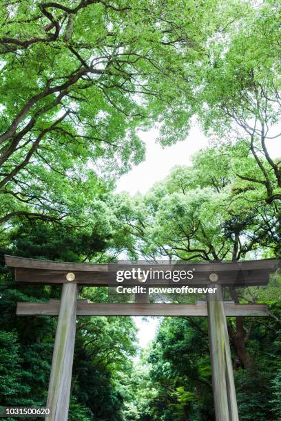torii gate at meiji shrine in tokyo, japan - meiji jingu shrine stock pictures, royalty-free photos & images