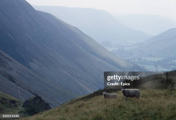 Lake Vyrnwy Nature Reserve in Wales, September 1969.