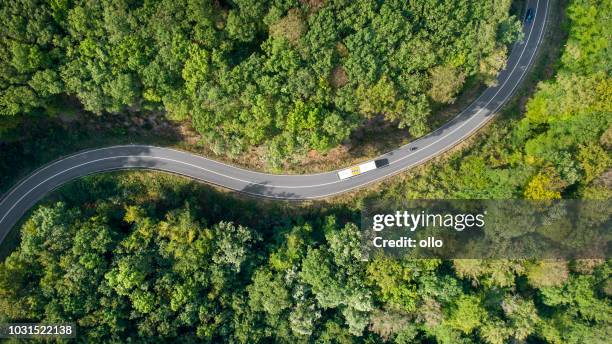 kurvenreiche straße durch den wald - bus road stock-fotos und bilder