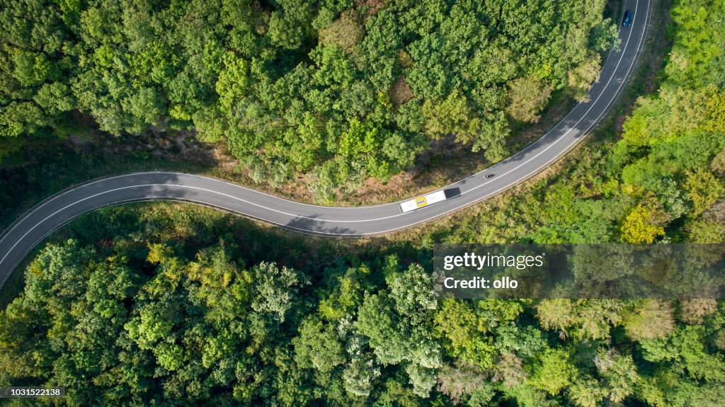 Winding road through the forest