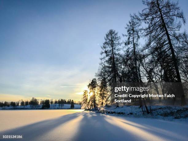 bogstad lake in winter - winterzonnewende stockfoto's en -beelden