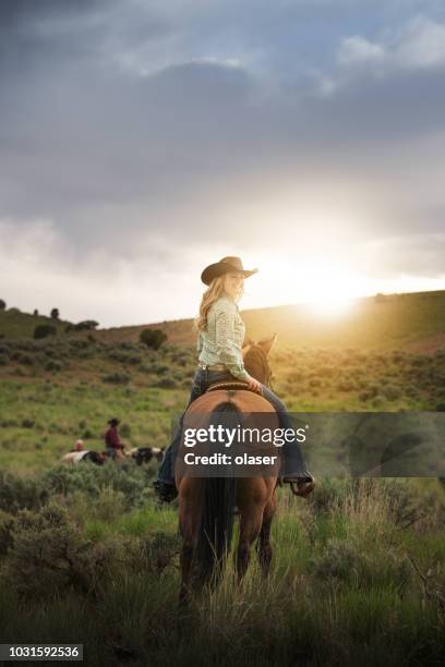 cowgirl portrait, sunset, on horse, fields and utah mountains - horseback riding stock pictures, royalty-free photos & images