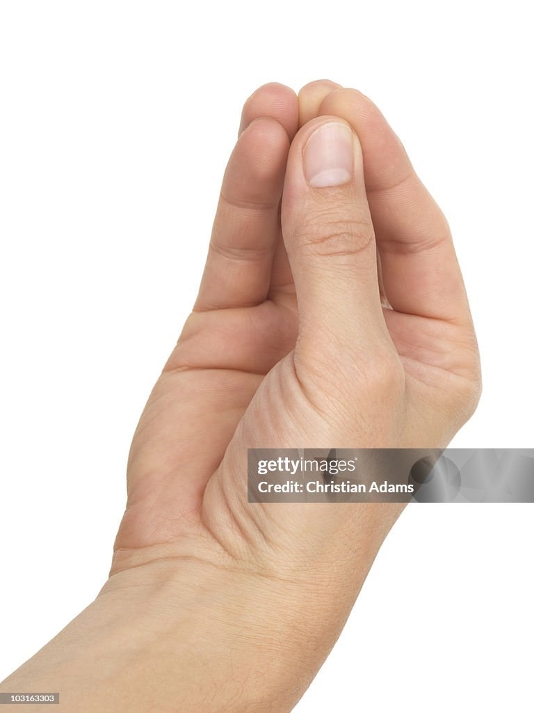 Hand sign - italian