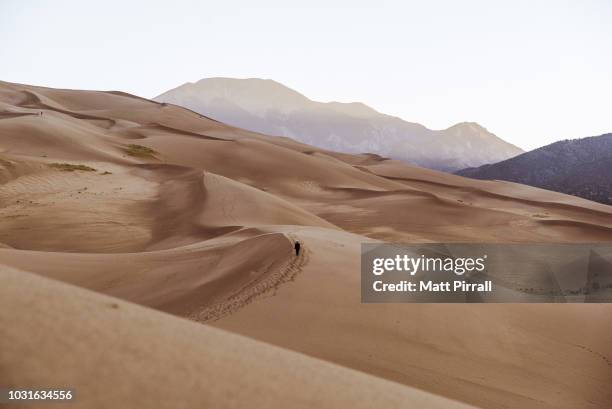 person walking in the distance on a sand dune in the desert at sunrise - great sand dunes national park 個照片及圖片檔