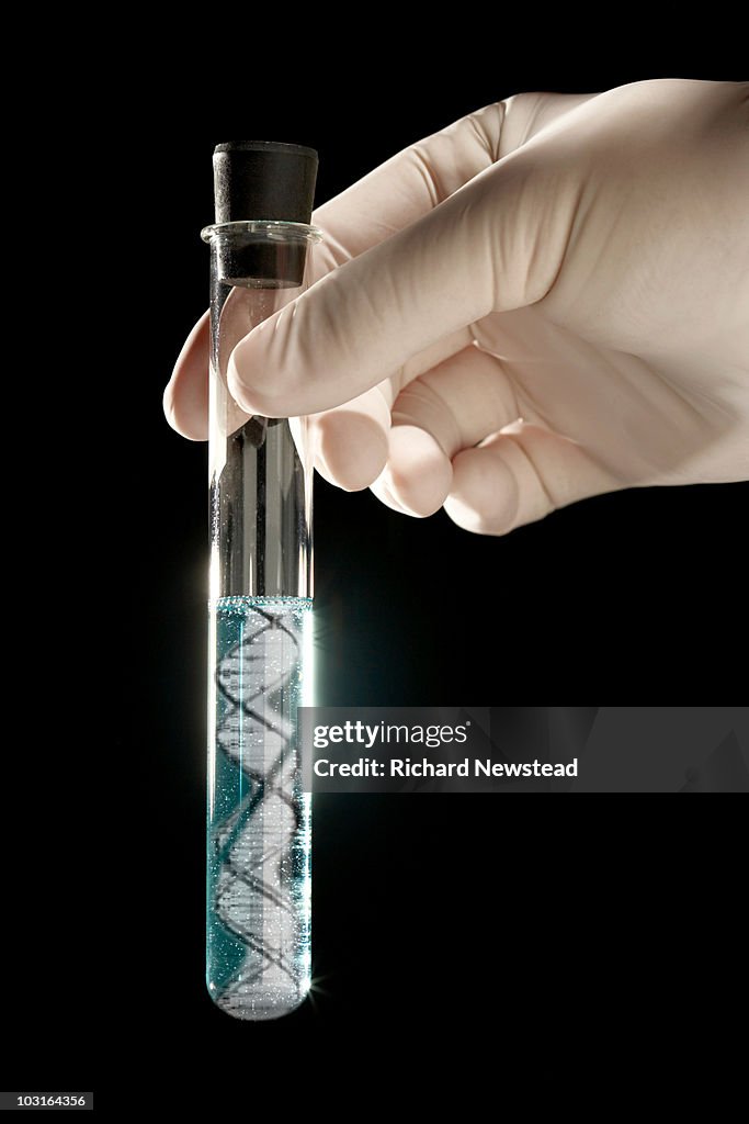 DNA In Test Tube