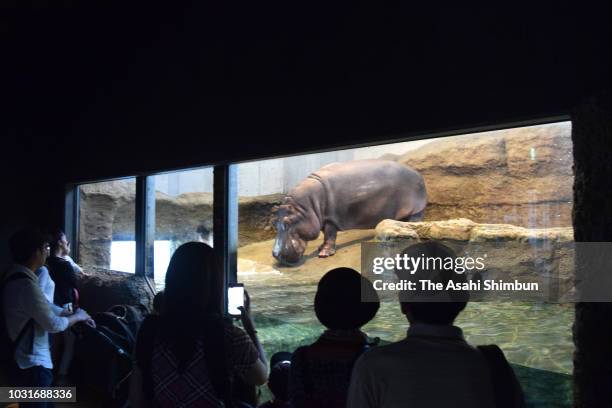 Lights are turned off in attempt to save energy at Maruyama Zoo on September 11, 2018 in Sapporo, Hokkaido, Japan. A male resident in Atsuma who was...