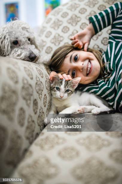 gatinho e criança - cute animals cuddling - fotografias e filmes do acervo