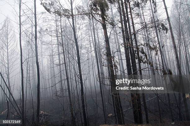 View of a village burnt by a forest fire on July 30, 2010 in Verkhnyaya Vereya, Russia. Putin visited the village where all 341 homes have burned to...