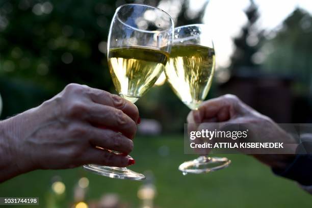 People clink glasses of "froccs" spritzer, a centuries-old Hungarian drink made out of wine and soda on September 7, 2018 in Budapest. - The small...