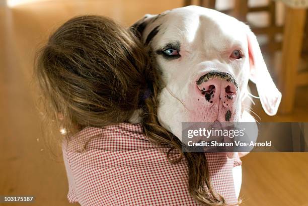 girl hugging her great dane dog - dogge stock-fotos und bilder