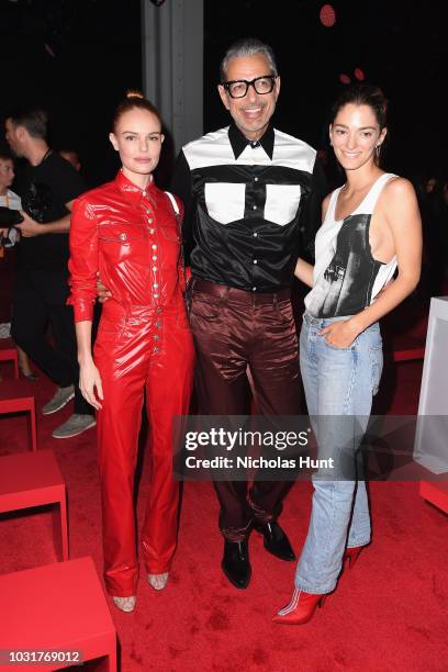 Kate Bosworth, Jeff Goldblum and Sofia Sanchez de Betak attend the Calvin Klein Collection front Row during New York Fashion Week at New York Stock...