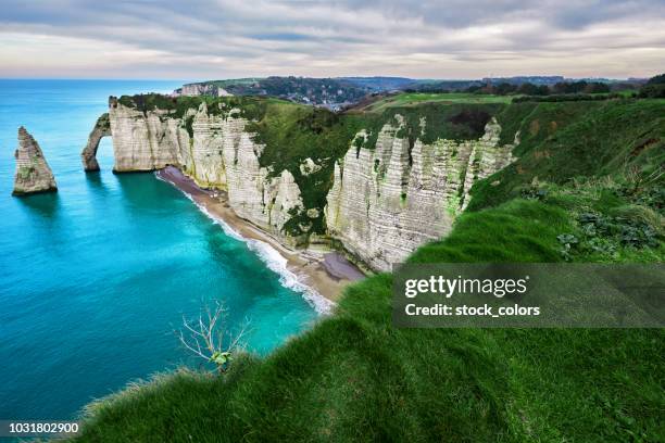 landscape in etretat - alabaster coast stock pictures, royalty-free photos & images