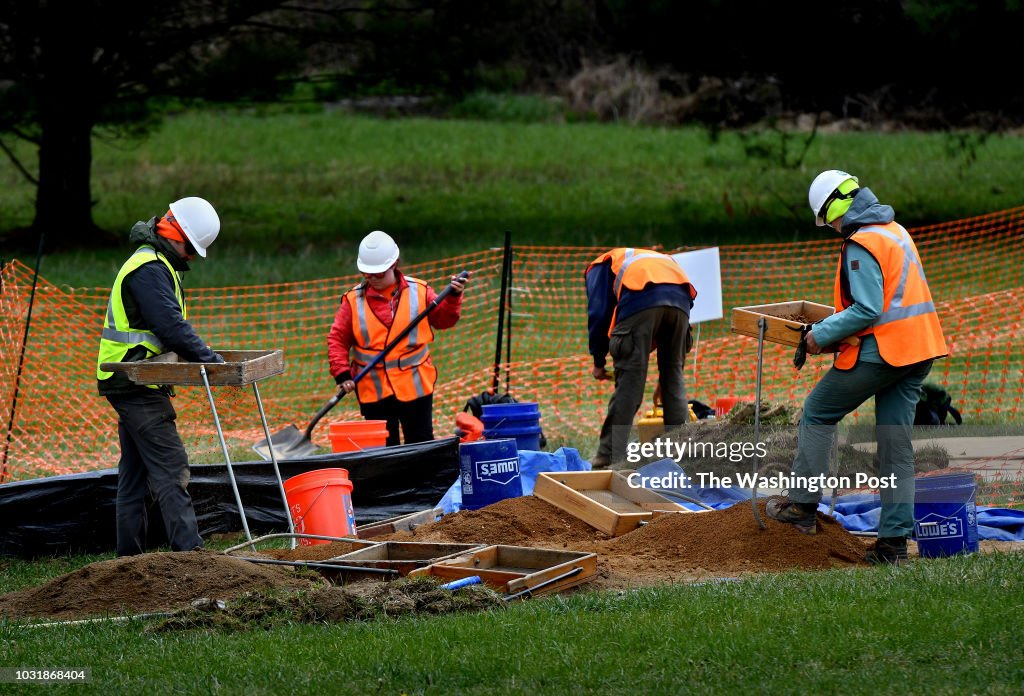 Two Activists Are Staying in Trees to Protest a Gas Pipeline Project