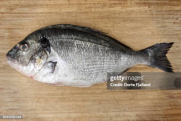 gilt-head bream cleaned, but not scaled on a bamboo board - sea bream stock pictures, royalty-free photos & images