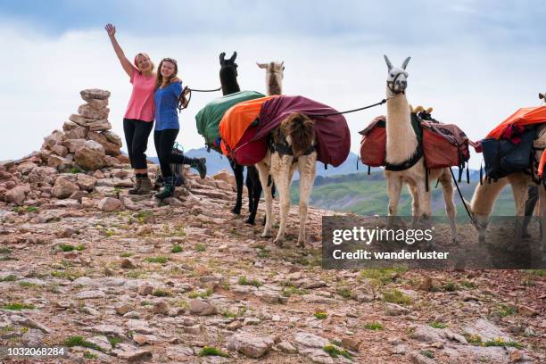 2,136 Pack Animal Photos and Premium High Res Pictures - Getty Images 2,136 Pack Animal Photos and Premium High Res Pictures - Getty Images