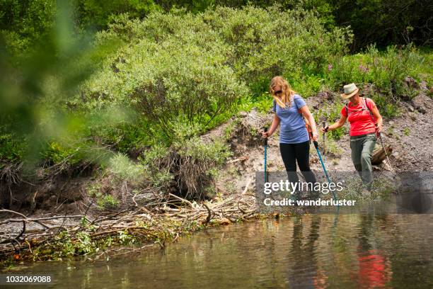 stream overstekende op wandelpad - san juan mountains stockfoto's en -beelden