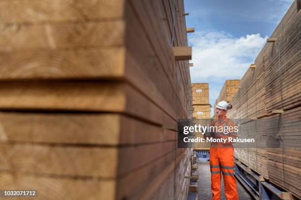 Timber Fr 3 847 Timber Wharf Stock Photos, High-Res Pictures, and Images - Getty ...