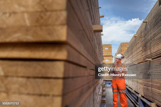 worker with stacks of timber in storage at port - construction material foto e immagini stock