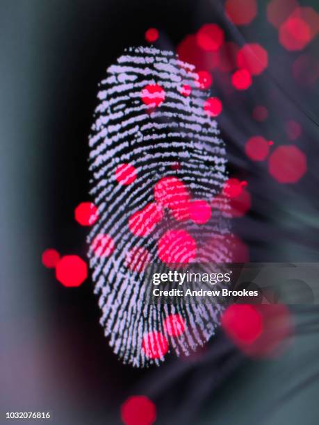 data infecting a finger print identity on a screen to illustrate hacking and cyber crime - entering data stock pictures, royalty-free photos & images