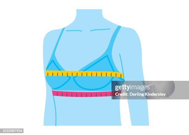 ilustrações de stock, clip art, desenhos animados e ícones de measuring bra size - sutiã