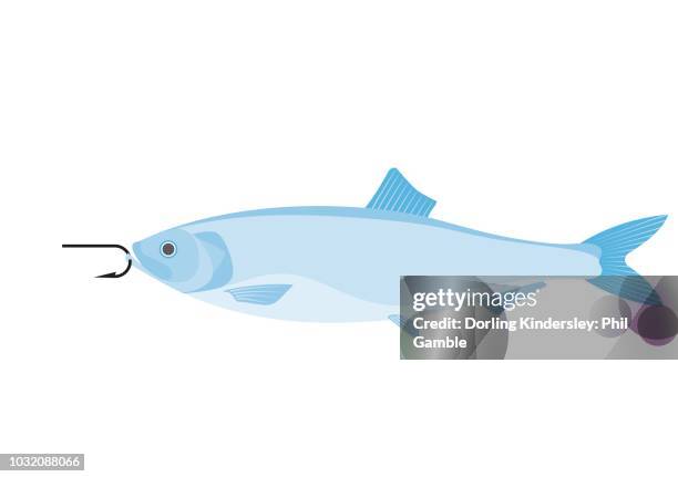 fish - herring stock illustrations