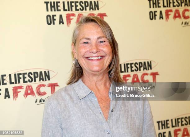 Cherry Jones poses at the "The Lifespan Of A Fact" photo call and meet & greet at The New 42nd Street Studios on September 6, 2018 in New York City.