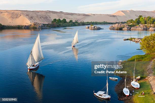 felucca sailboats on river nile, aswan, egypt - nile river stock-fotos und bilder