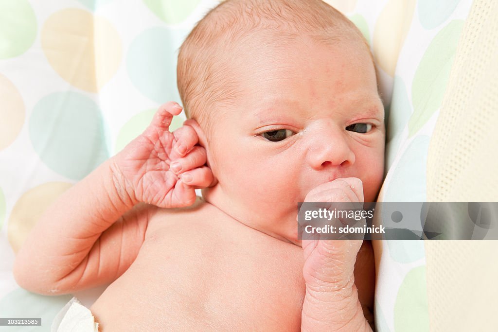 Newborn Baby Sucking Thumb