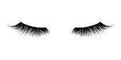 Eyelash or lash vector icons. Vector false long eyelashes for mascara design