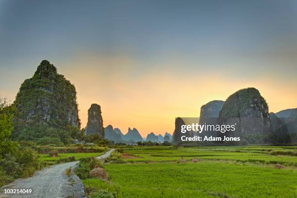 road through rice fields at sunset - yangshuo imagens e fotografias de stock