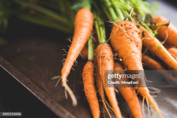 reihe von hausgemachten bio-karotten - carrot stock-fotos und bilder