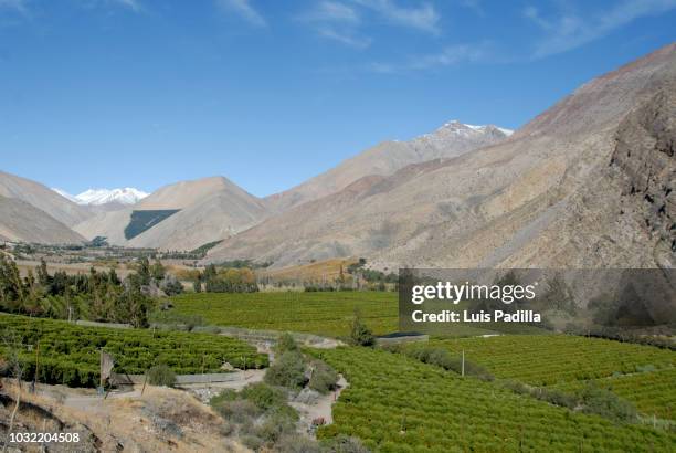 elqui valley chile - la serena bildbanksfoton och bilder