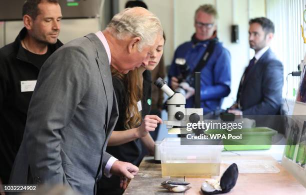 Prince Charles, Prince of Wales visits the Kielder Salmon Centre on September 12, 2018 in Hexham, Northumberland.