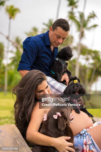 schwanger zu zweit am strand mit ihren hunden - dog knotted in woman stock-fotos und bilder