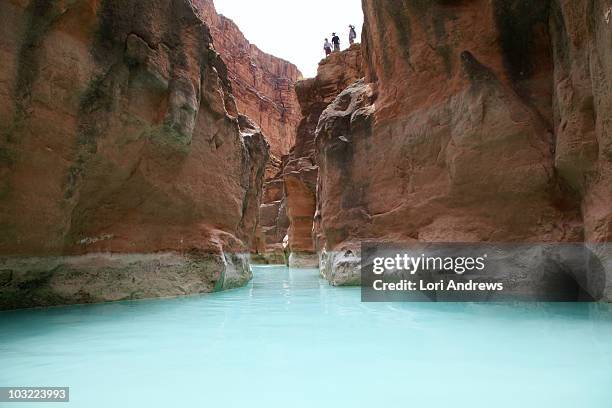 havasu creek, grand canyon  - flagpole stock-fotos und bilder