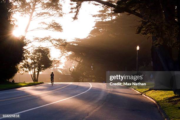 golden gate park - golden gate park foto e immagini stock