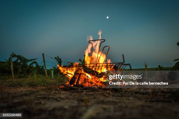 Field Bonfire 58 Ranch Bonfire Horses Stock Photos, High-Res Pictures, and Images ...