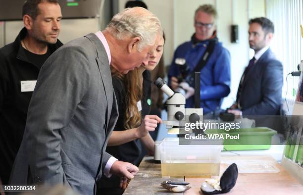 Prince Charles, Prince of Wales visits the Kielder Salmon Centre on September 12, 2018 in Hexham, Northumberland.