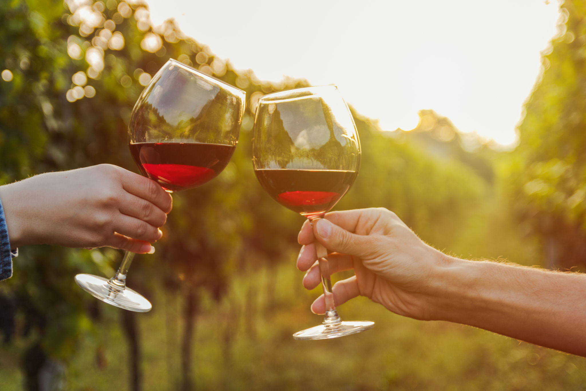 vineyard celebration