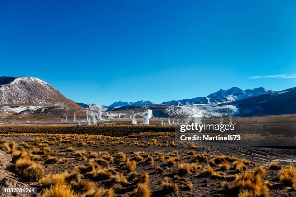 región de el tatio geyser - actividad geotérmica del altiplano - colinas de los andes- - región de atacama fotografías e imágenes de stock