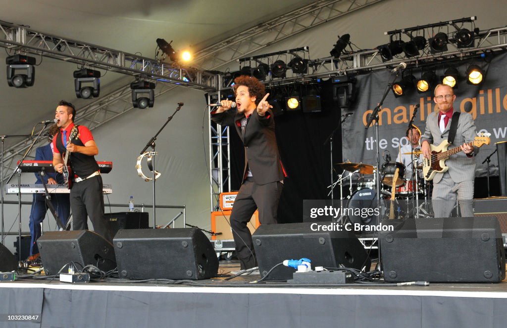 Day 3: Womad Festival 2010
